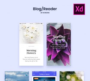 UX/UI Adobe design UI Kit for Blog/Readers Screens
