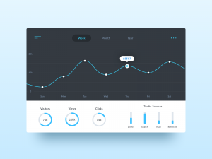 Website Analytics showing your online traffic data