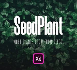 E-commerce App design - SeedPlant - Xd resource